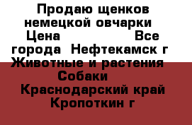 Продаю щенков немецкой овчарки › Цена ­ 5000-6000 - Все города, Нефтекамск г. Животные и растения » Собаки   . Краснодарский край,Кропоткин г.